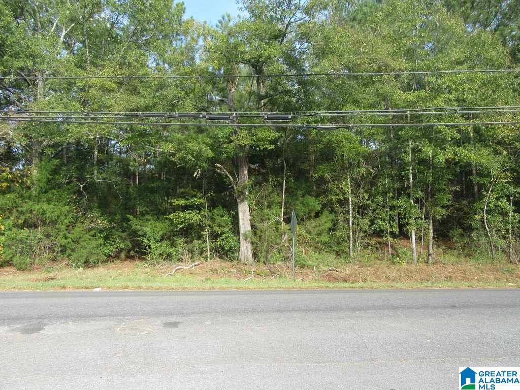 0 Cherry Street, Unit 1 Talladega, AL 35160 - Photo 1 of 10