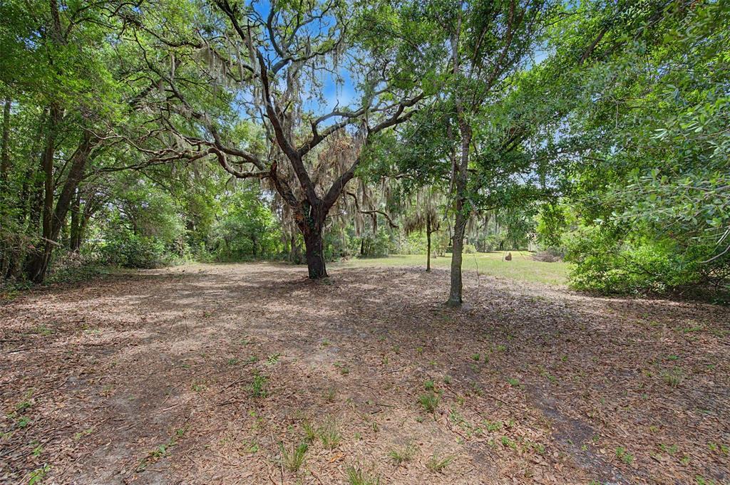 Cutrone Road Winter Haven, FL 33880 - Photo 8 of 50 a view of outdoor space with large trees