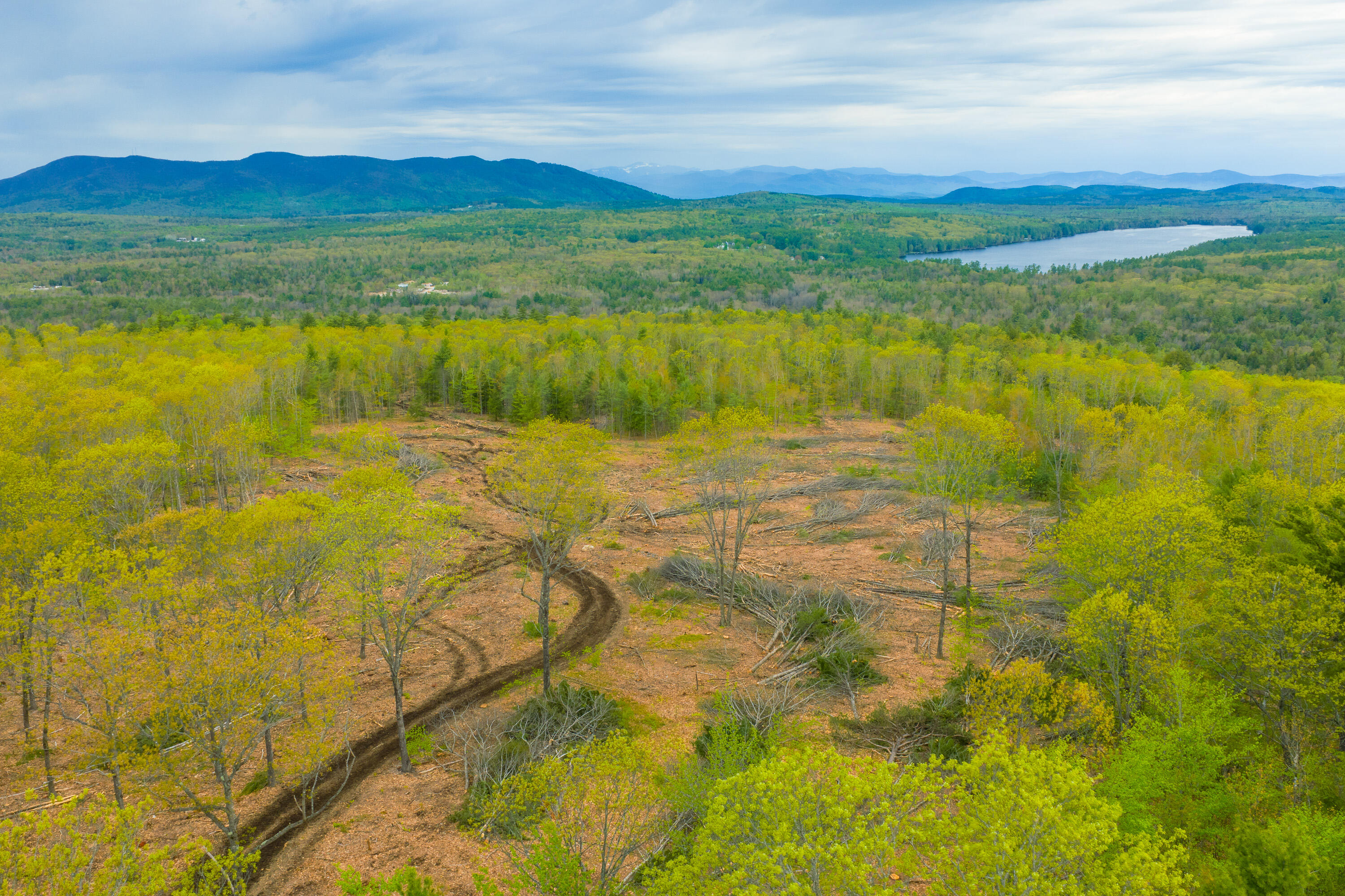 Lot 28 South Bridgton Road Bridgton, ME 04009 - Photo 4 of 10 14_0 Ray Whitney Rd_MorneauStudios_Print