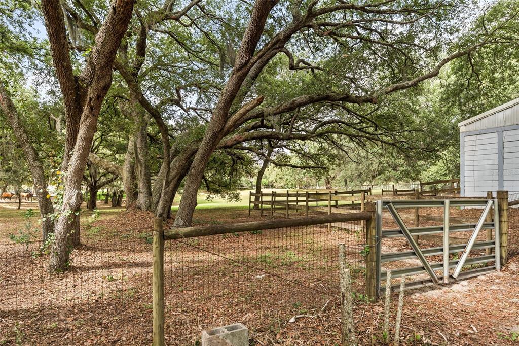 16104 Sandhill Road Winter Garden, FL 34787 - Photo 26 of 36