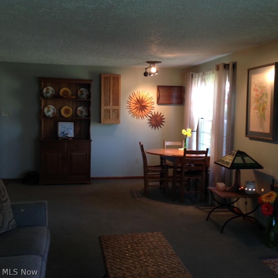 3720 Lake Road West Ashtabula, OH 44004 - Photo 8 of 35 Gallery Image 8