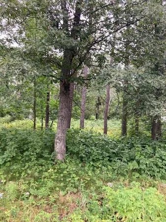 $53,800 | Lot 39-40 Owl Circle, Breezy Point, MN 56472