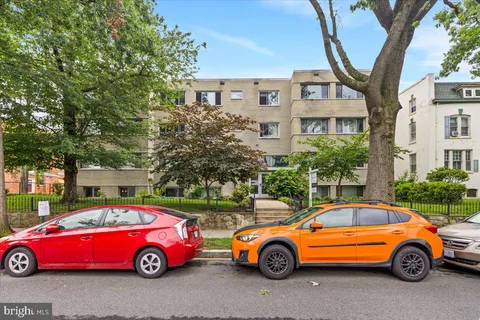 a view of a park with large trees
