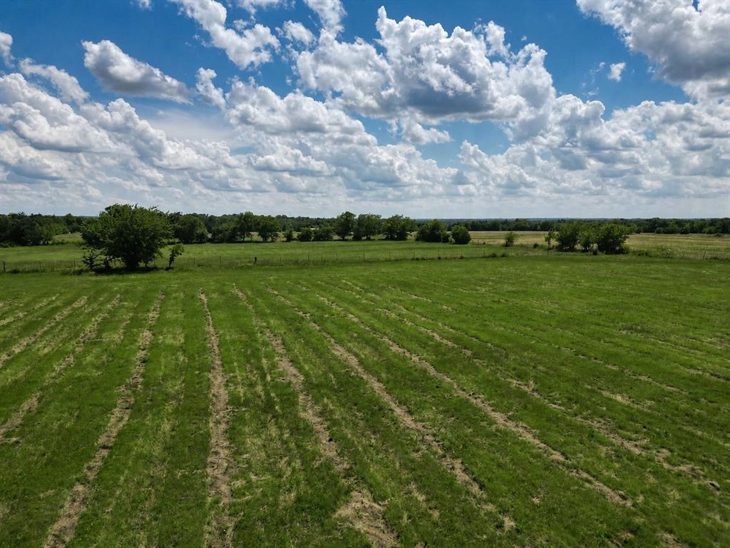 9999 Dugan Chapel Road Bells, TX 75414 - Photo 22 of 23