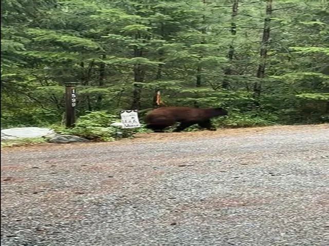 $298,000 | 1599 Coyote Way, Evans, WA 99126