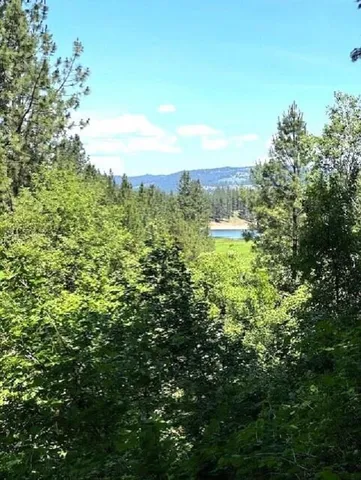 $298,000 | 1599 Coyote Way, Evans, WA 99126