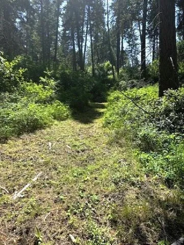 $298,000 | 1599 Coyote Way, Evans, WA 99126