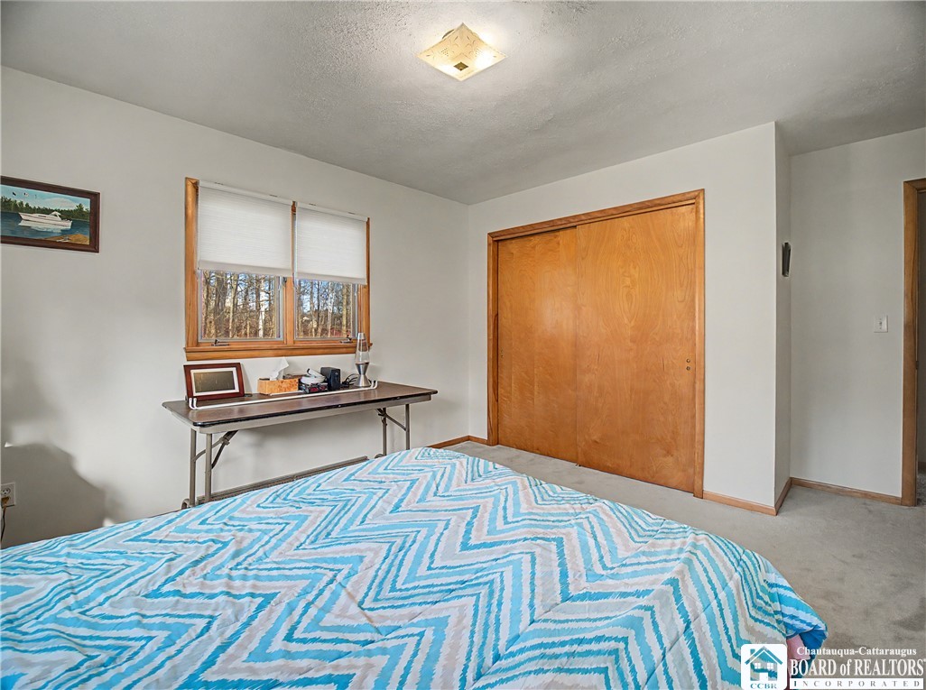 912 County Touring Rte 32 Busti, NY 14750 - Photo 23 of 31