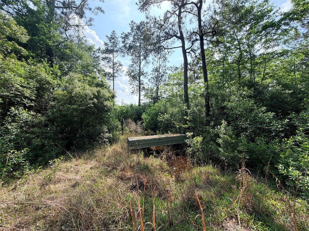 345 Private Road Hillister, TX 77624 - Photo 42 of 50