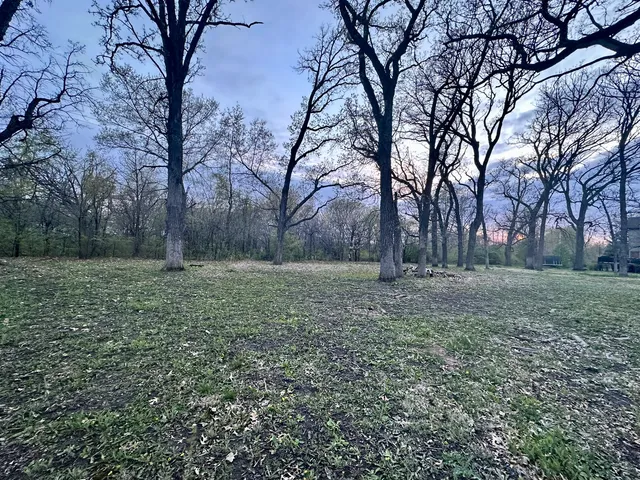 a view of outdoor space with large trees