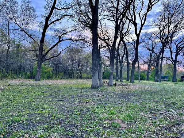 a fire hydrant in the middle of a field