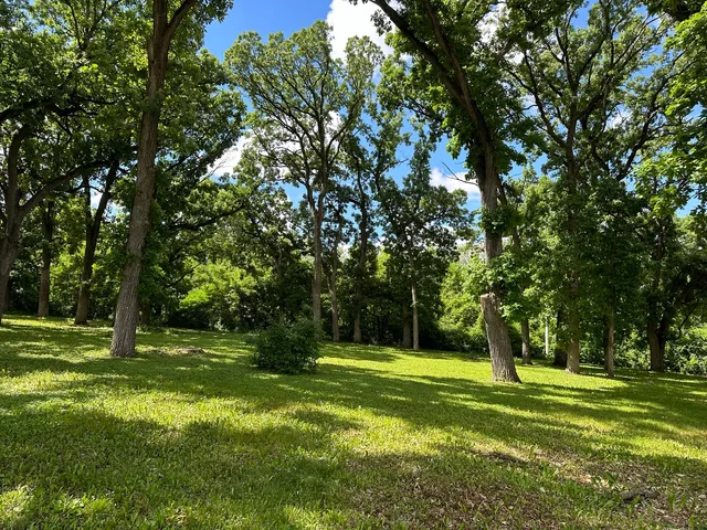a view of a park with a tree in the background