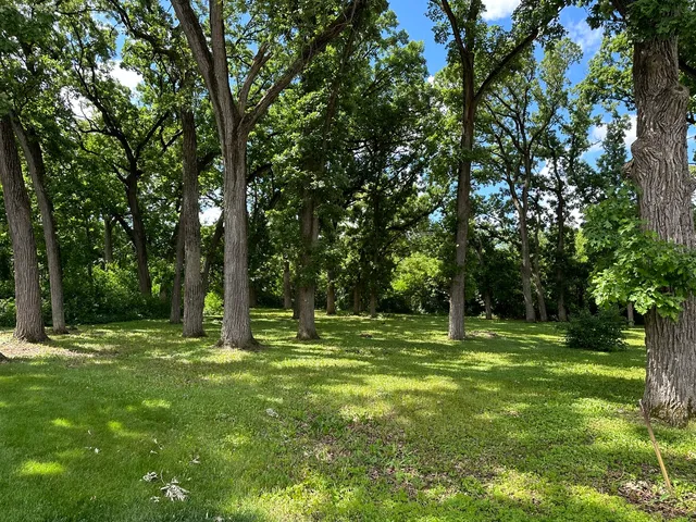 a backyard of a house with lots of green space