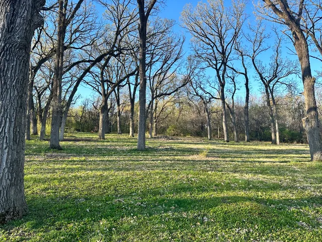 a view of a grassy field with trees