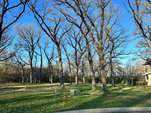 a big yard with lots of trees and plants