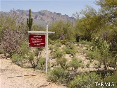 0 West Oasis Road Tucson, AZ 85742 - Photo 1 of 9