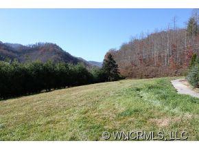 1793 Max Patch Road Clyde, NC 28721 - Photo 18 of 24