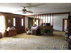 1793 Max Patch Road Clyde, NC 28721 - Photo 4 of 24