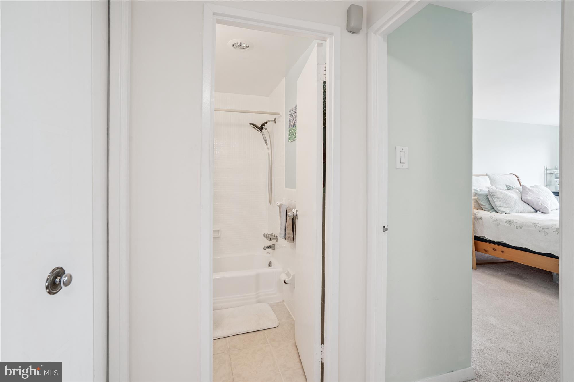 1900 Lyttonsville Road, Unit 1308 Silver Spring, MD 20910 - Photo 20 of 52 a bathroom with a bathtub and a shower