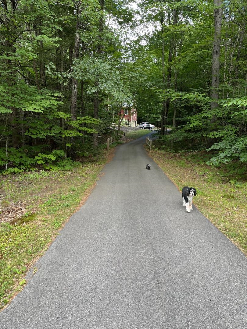 17 Wheeler Road Bow, NH 03304 - Photo 3 of 40 Gallery Image 3
