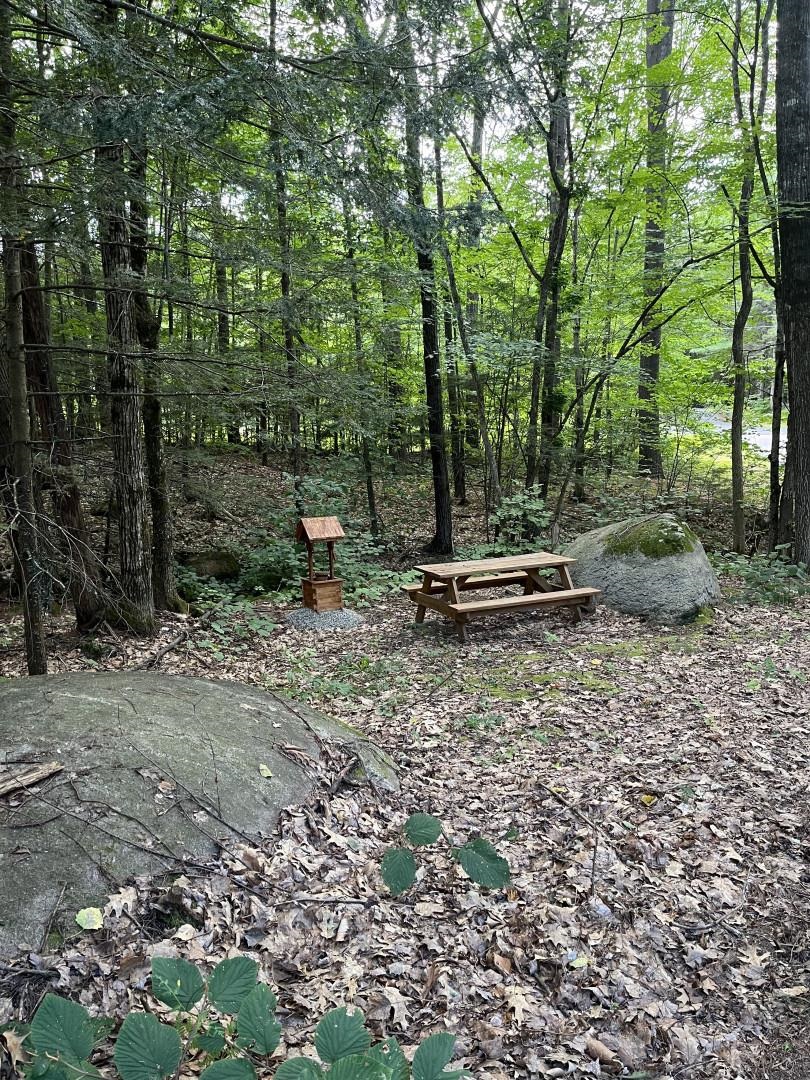 17 Wheeler Road Bow, NH 03304 - Photo 5 of 40 Gallery Image 5