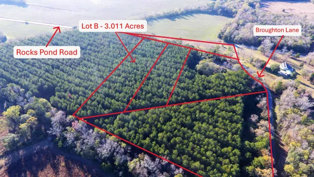 $105,385 | 0 Broughton (lot B) Lane, Eutawville, SC 29048