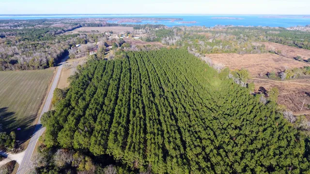 $105,385 | 0 Broughton (lot B) Lane, Eutawville, SC 29048