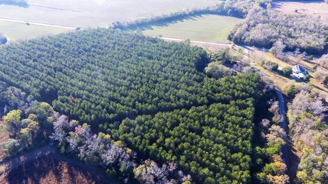 $105,385 | 0 Broughton (lot B) Lane, Eutawville, SC 29048