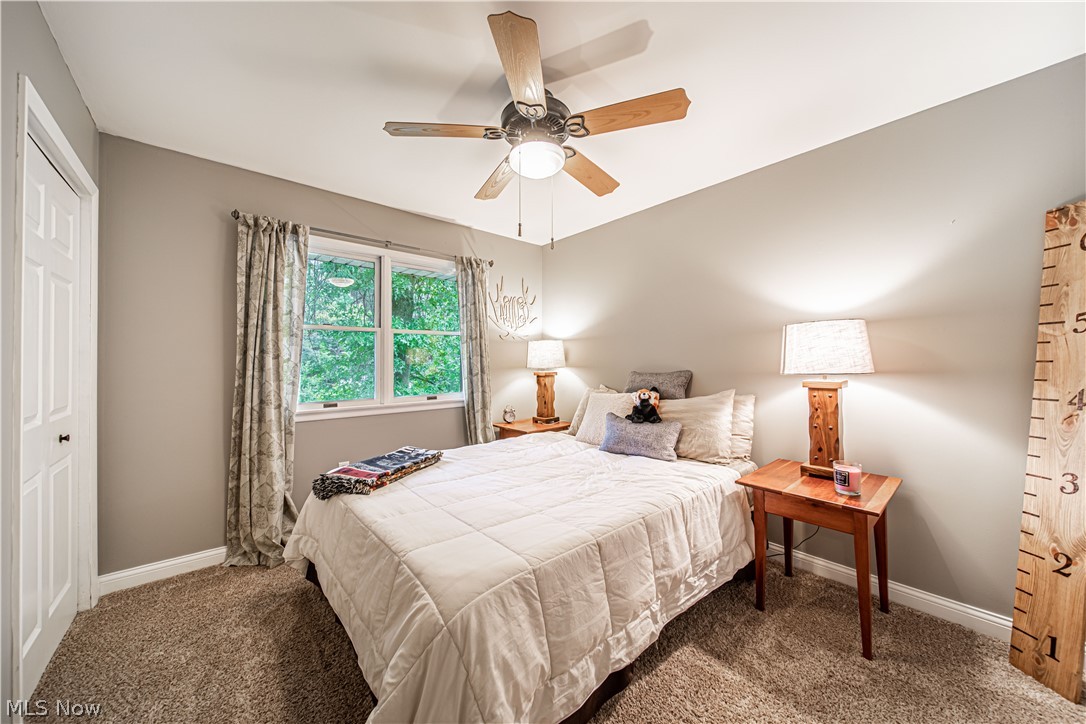 12772 Huntoon Road Painesville, OH 44077 - Photo 18 of 35 Gallery Image 18
