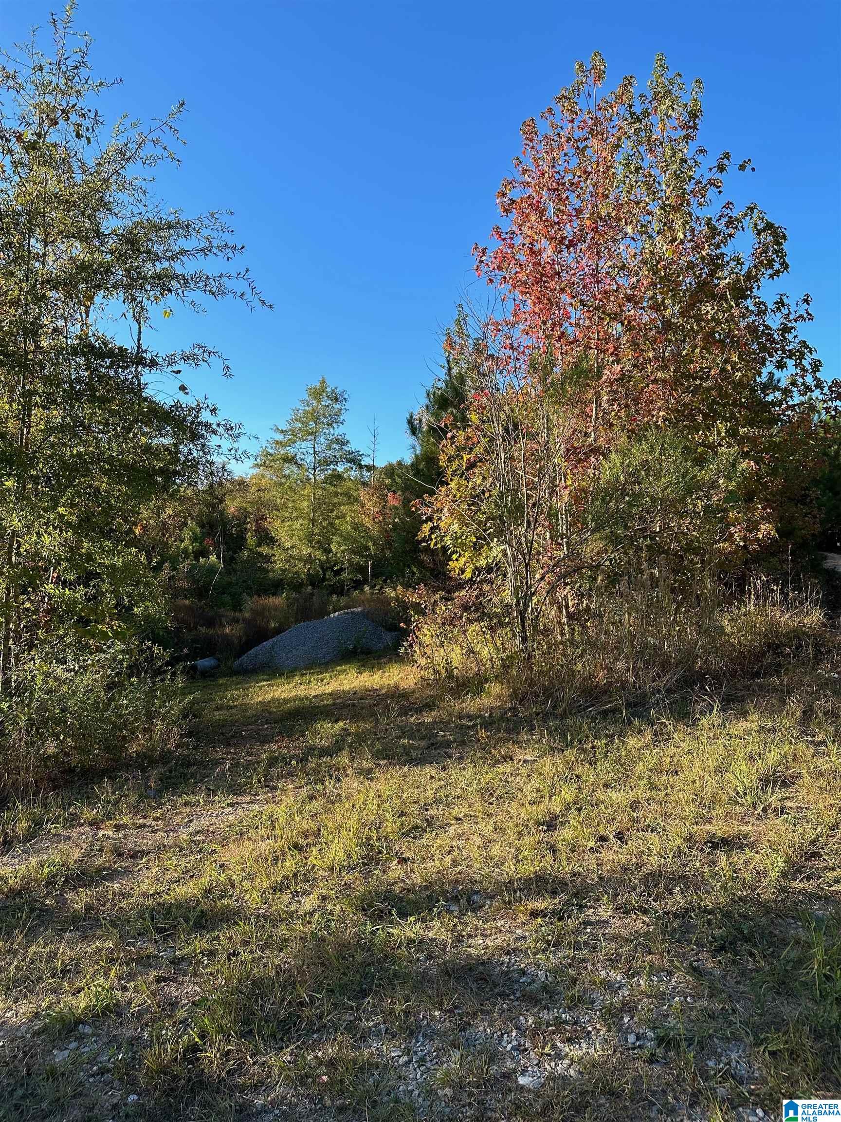 0 Reed Creek Drive Shelby, AL 35143 - Photo 7 of 15