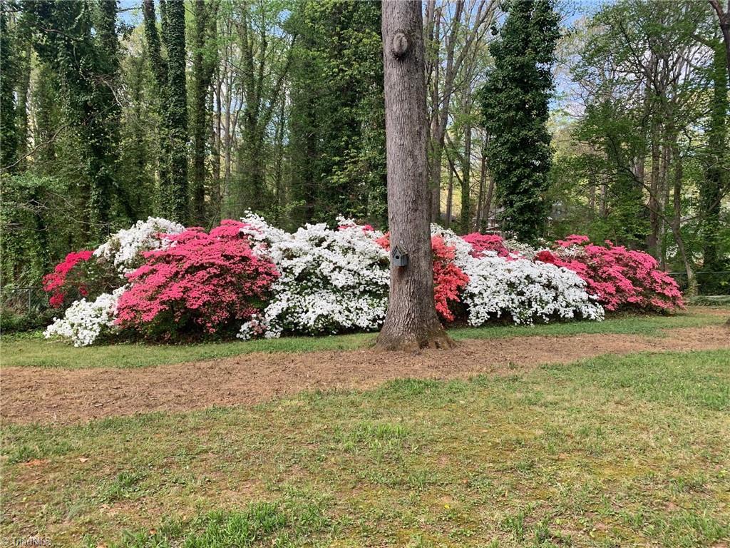 706 Friar Tuck Road Winston-Salem, NC 27104 - Photo 30 of 34 What a show come Spring!
