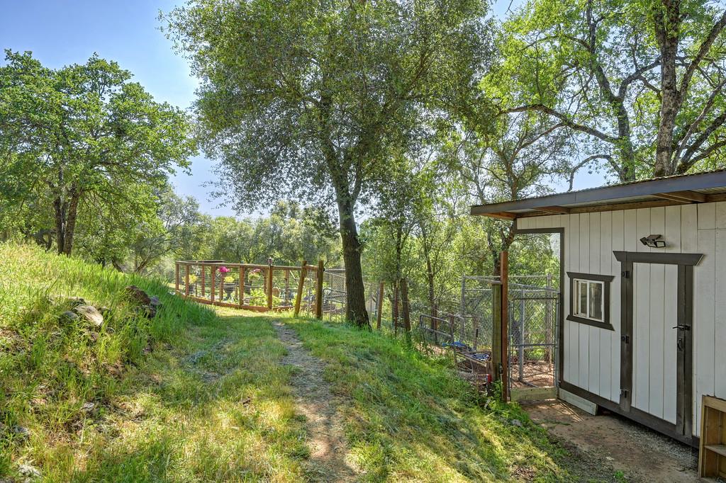 3716 Murphy Ranch Road Placerville, CA 95667 - Photo 66 of 87