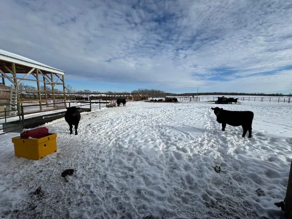 $639,899 | 31528 63rd Street, Hillman, MN 56338