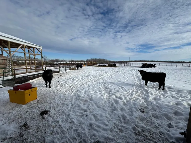 $649,900 | 31528 63rd Street, Hillman, MN 56338