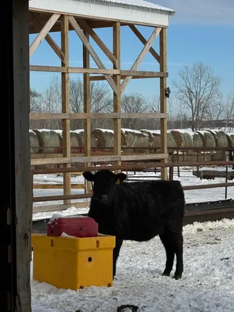 $639,899 | 31528 63rd Street, Hillman, MN 56338