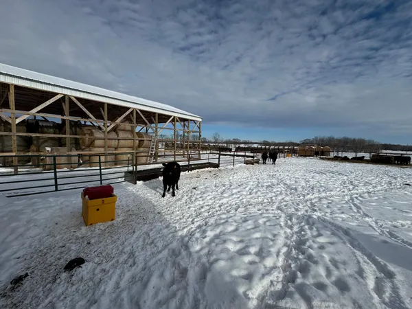 $639,899 | 31528 63rd Street, Hillman, MN 56338