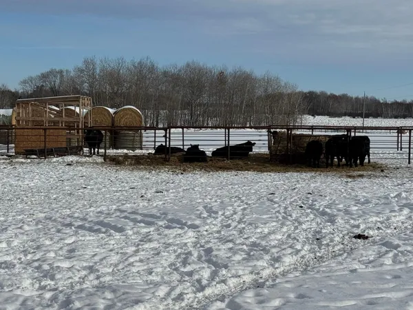 $639,899 | 31528 63rd Street, Hillman, MN 56338
