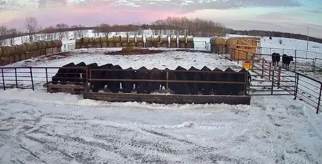 $649,900 | 31528 63rd Street, Hillman, MN 56338