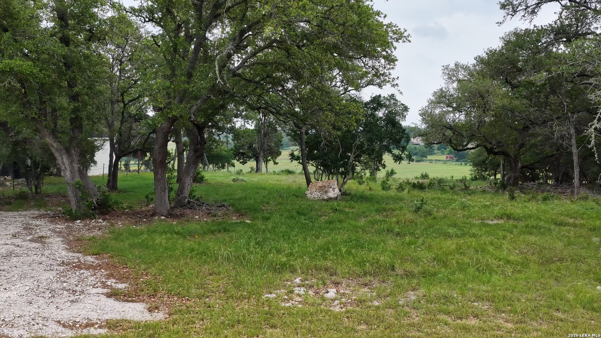 682 Winding River Lane Spring Branch, TX 78070 - Photo 3 of 21 a view of backyard with green space