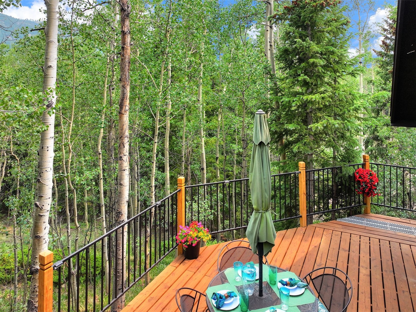 227 Roberts Road Alma, CO 80420 - Photo 9 of 47