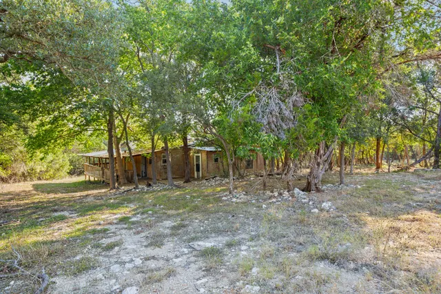 a view of a yard with a tree