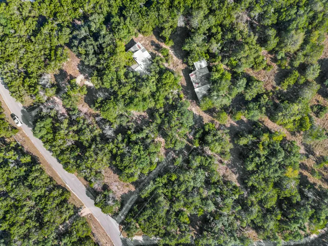 a view of a lush green forest with a lush green forest