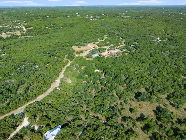 view of a green field with lots of bushes