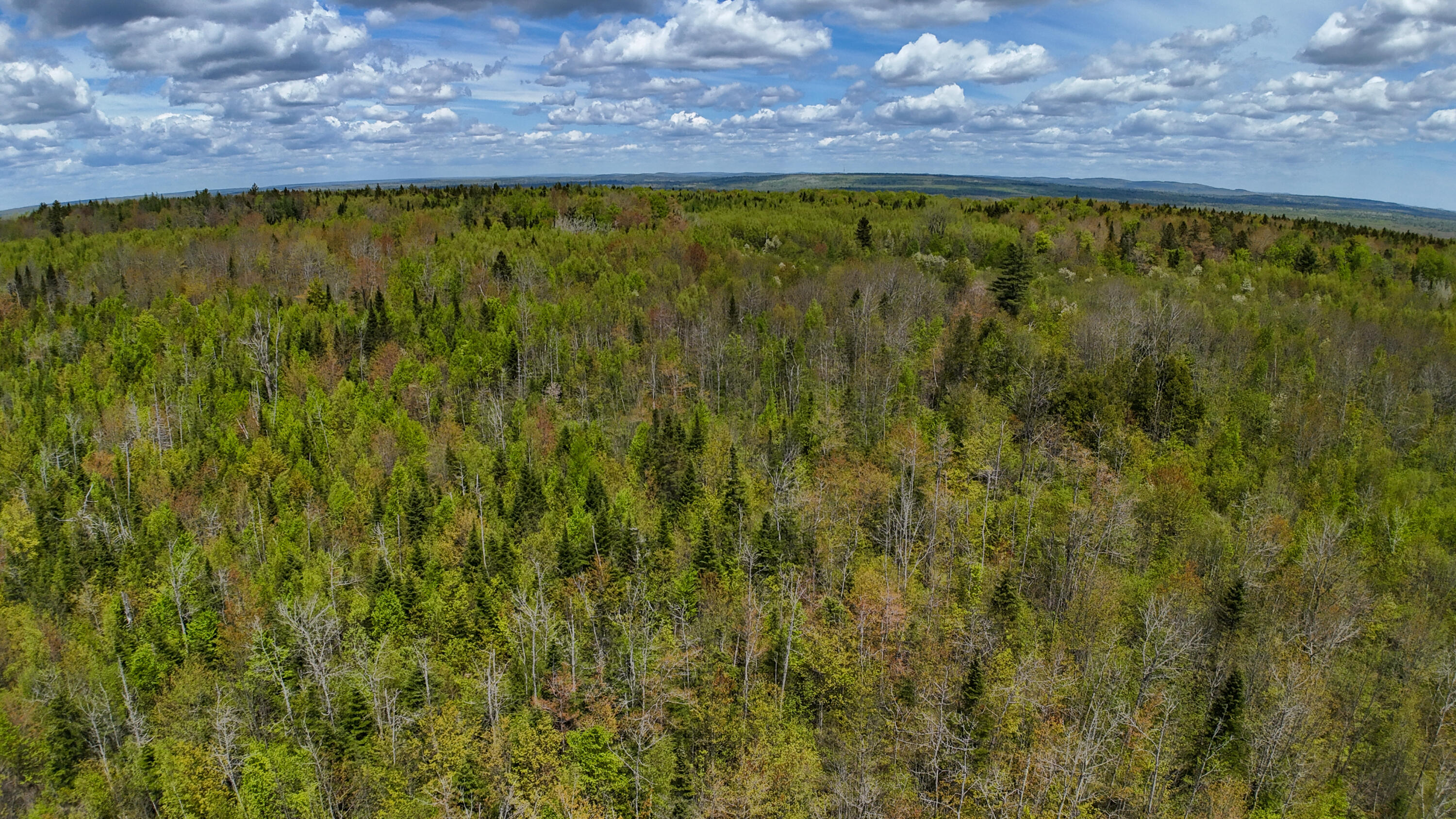 Lot 4 East Ridge Road Cooper, ME 04657 - Photo 11 of 20 RIDGE ROAD LOT 4-11