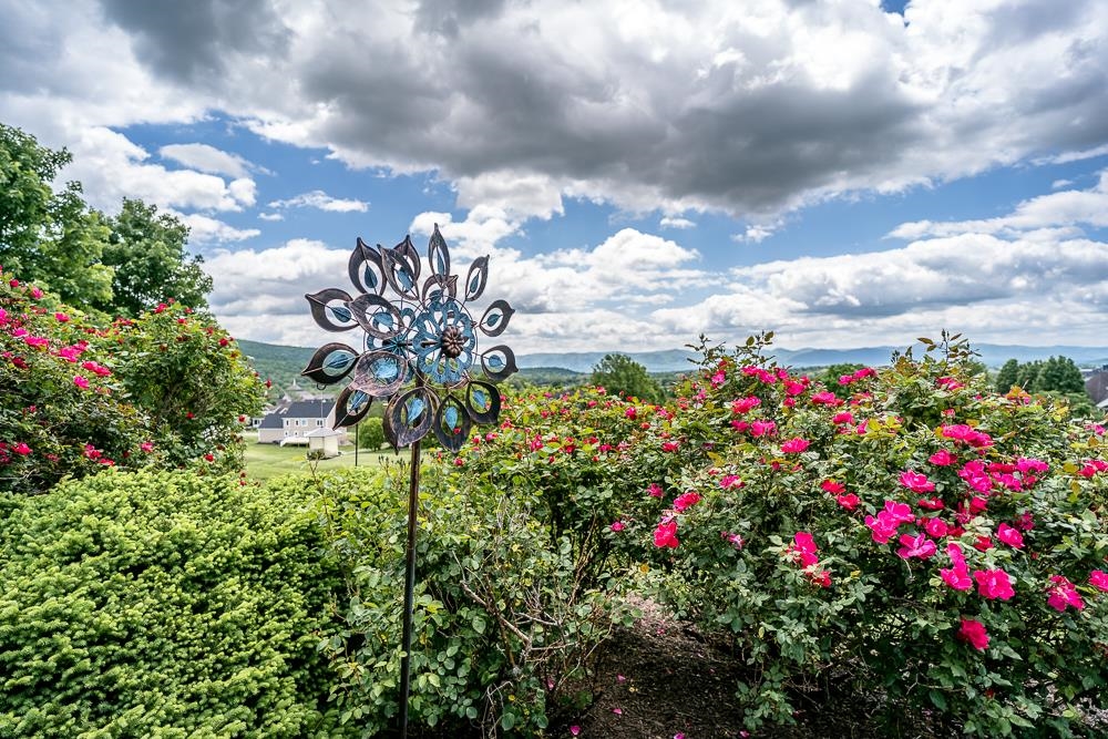 495 Frederick Road Harrisonburg, VA 22801 - Photo 70 of 75 Gallery Image 70