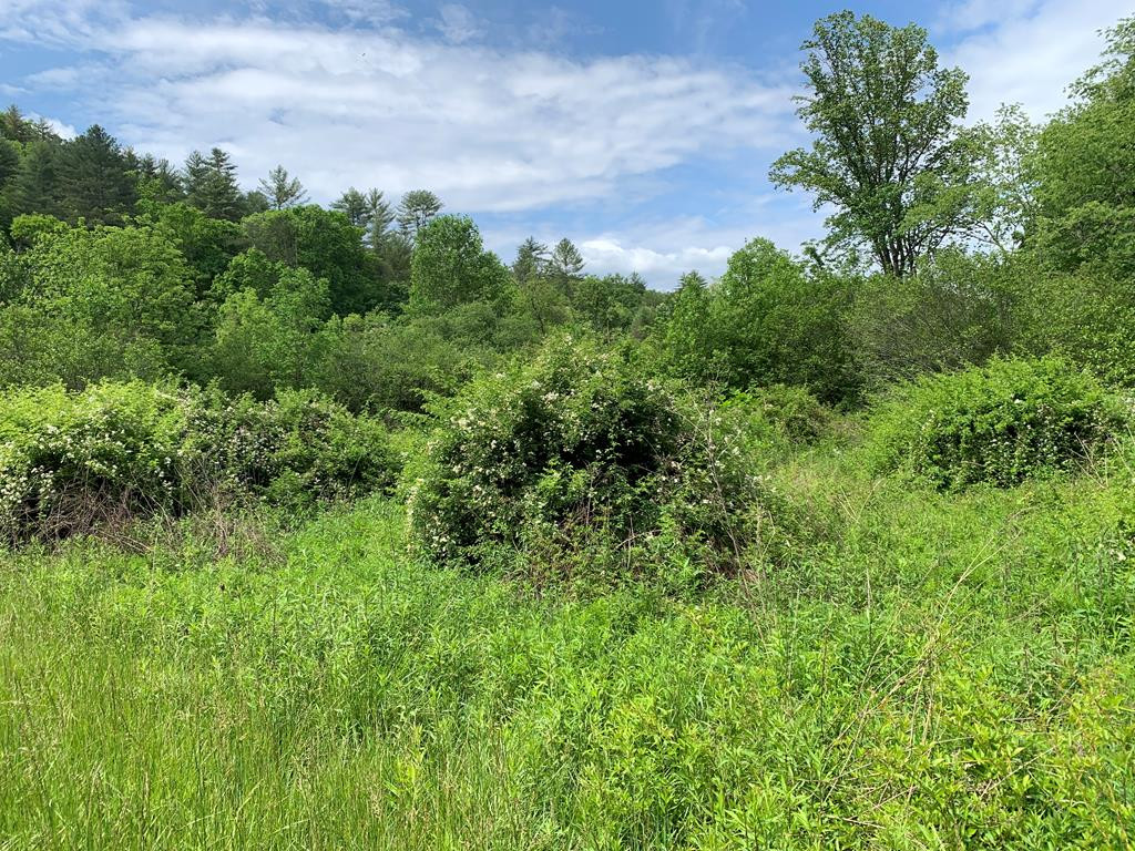 17.76-ac Greasy Creek Road Murphy, NC 28906 - Photo 10 of 17