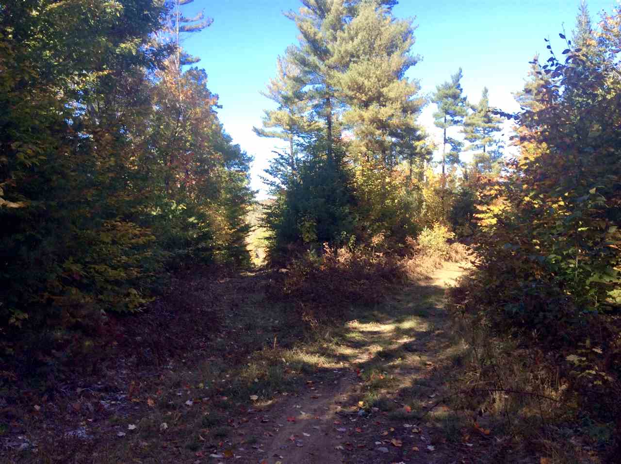 1720 East Madison Road Madison, NH 03849 - Photo 13 of 15