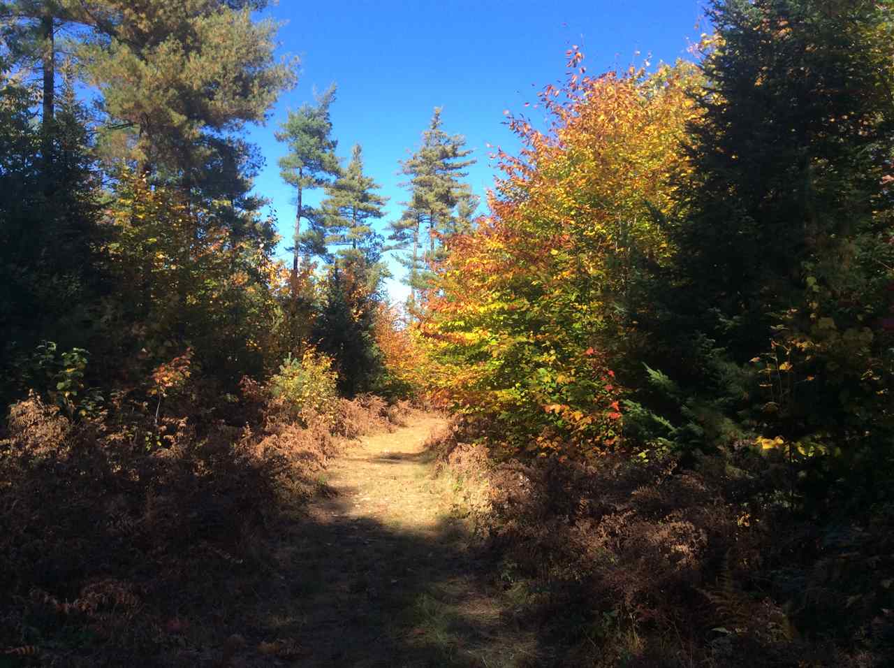 1720 East Madison Road Madison, NH 03849 - Photo 14 of 15