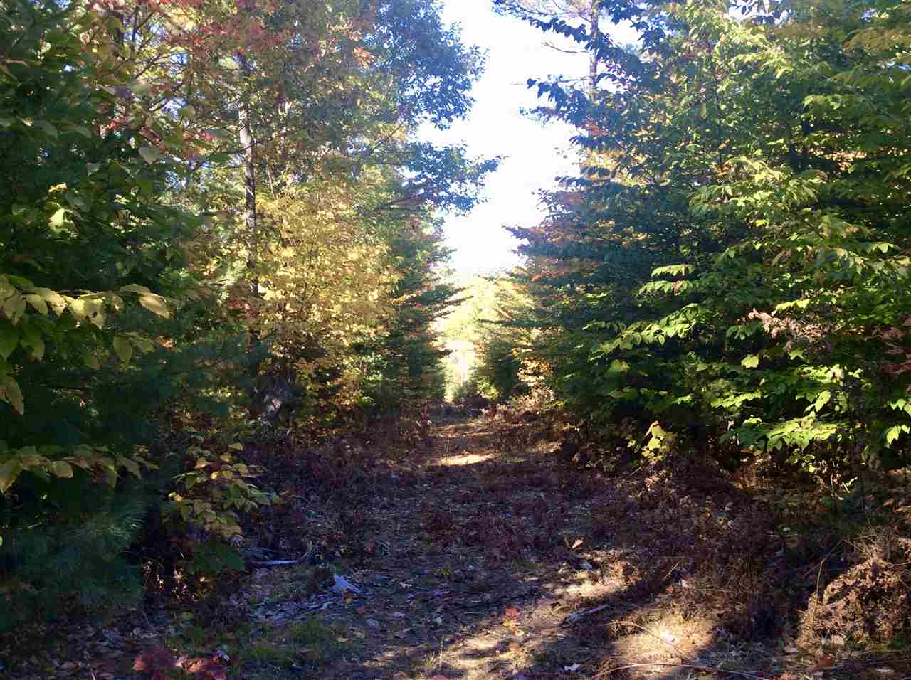 1720 East Madison Road Madison, NH 03849 - Photo 15 of 15