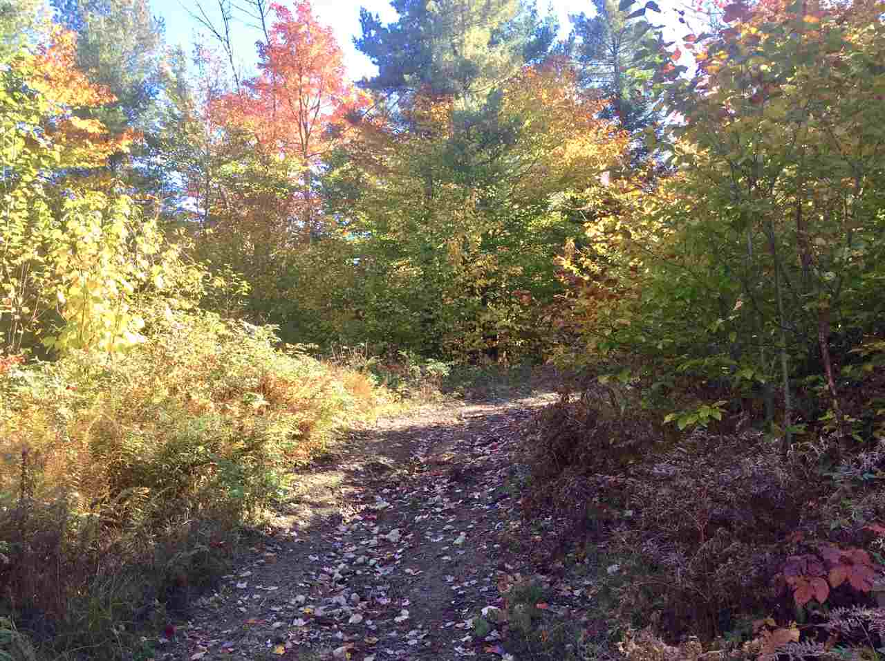1720 East Madison Road Madison, NH 03849 - Photo 9 of 15
